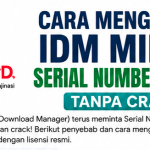Panduan Aman Mengatasi Idm Minta Serial Number2